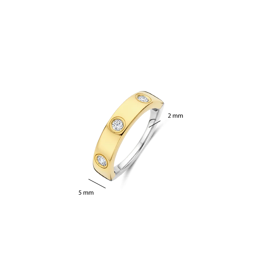 Anello in Argento Dorato e Zirconi